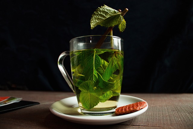 teh hijau bahan herbal cegah rontok