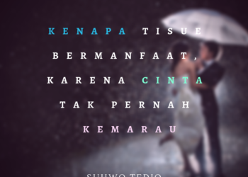 99+ Kata Kata Cinta Sejati Paling Romantis dan Bermakna