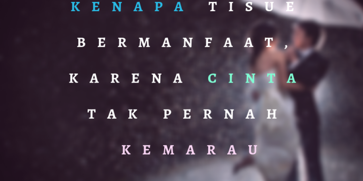 99+ Kata Kata Cinta Sejati Paling Romantis dan Bermakna
