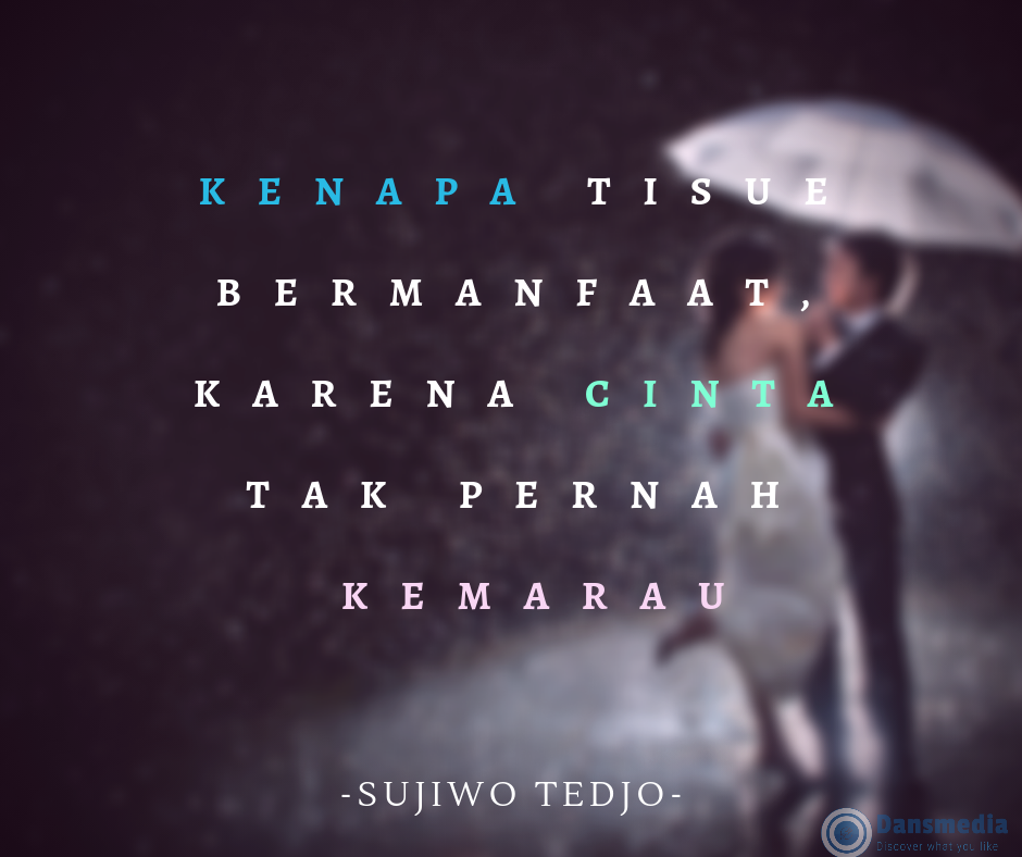 Quotes Bahasa Indonesia Tentang Cinta - Celoteh Bijak