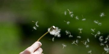 99+ Kata Kata Bijak dan Motivasi Tentang Hubungan dan Kehidupan