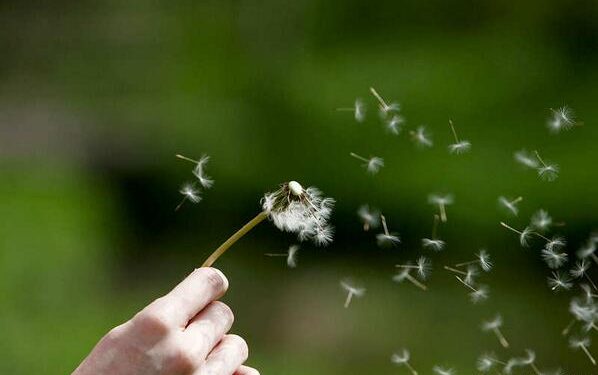 99+ Kata Kata Bijak dan Motivasi Tentang Hubungan dan Kehidupan