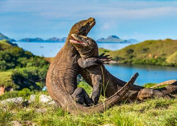 10 Tempat Wisata di Indonesia yang Jadi Incaran Turis Asing